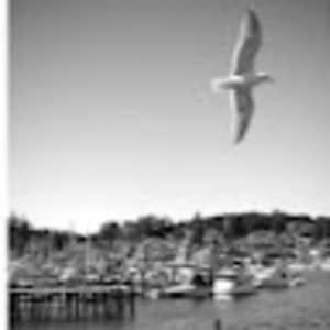 Meet your Posher, Jaymes